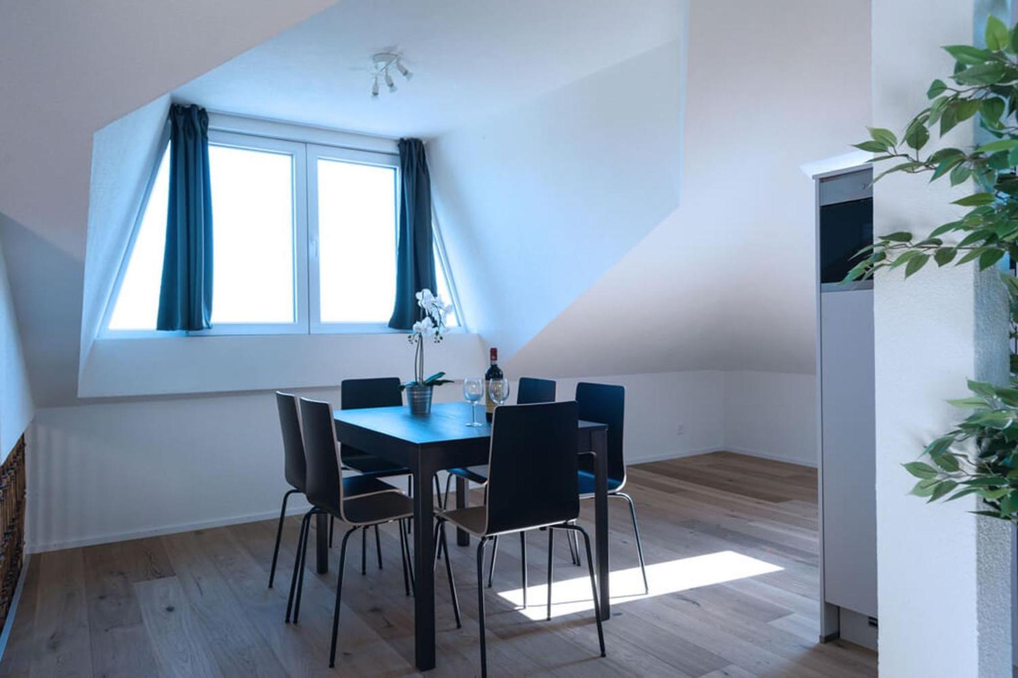 Hitrental Wiedikon Apartments チューリッヒ エクステリア 写真